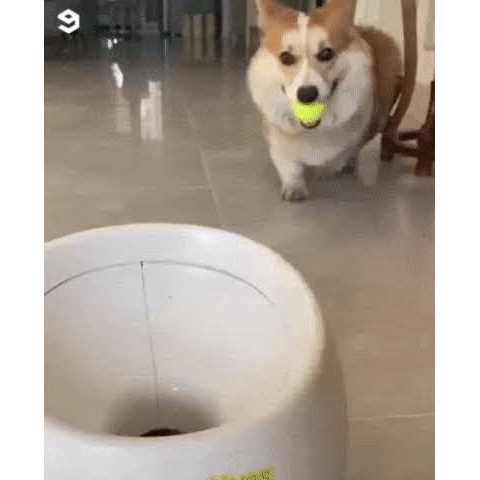 Rechargeable Tennis Ball Launcher X34062
