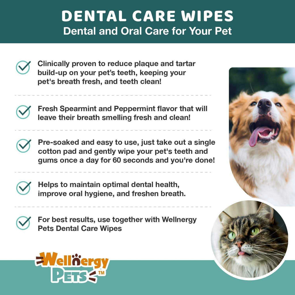 Dental Care Wipes for Dogs A673