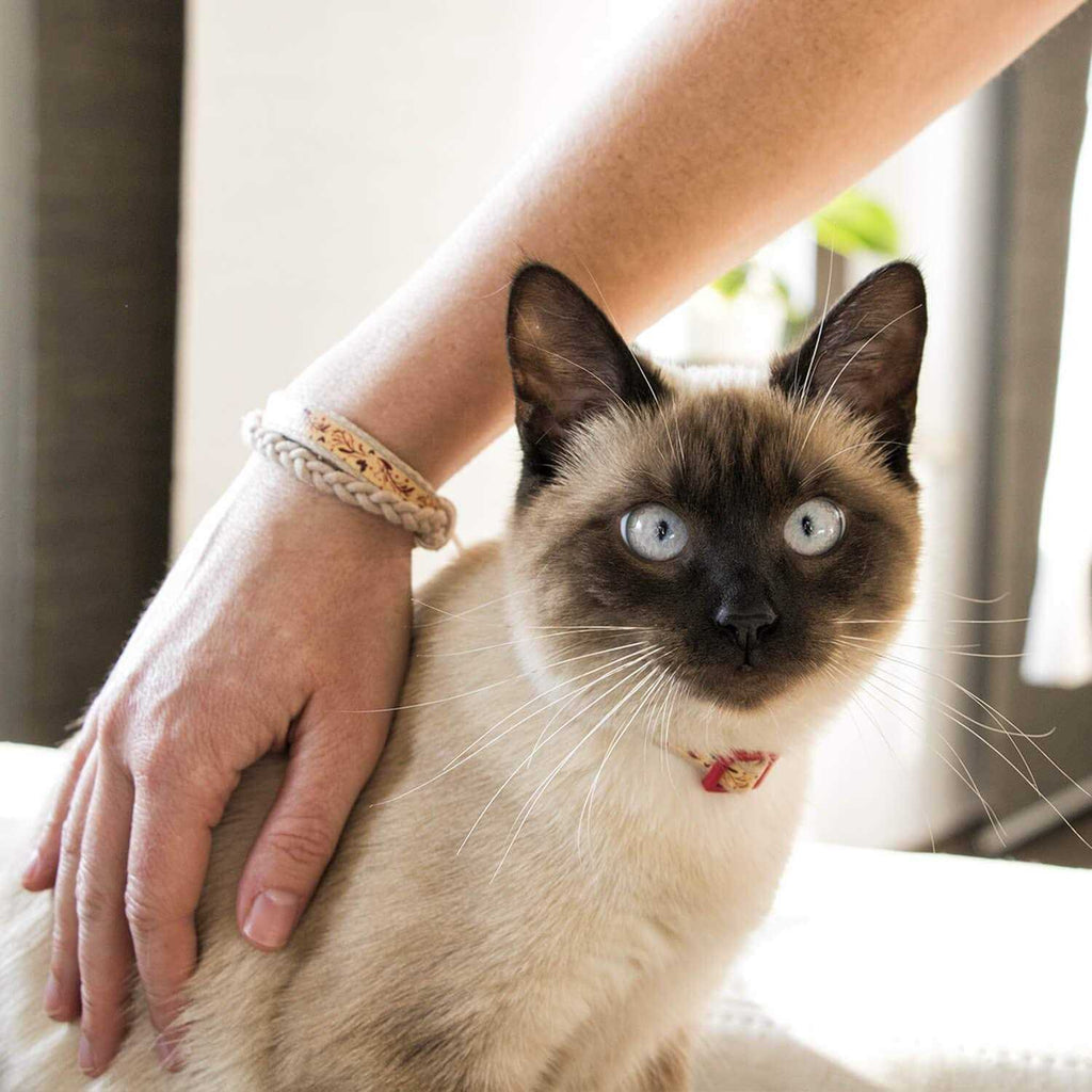 Cat Collar Breakaway J902