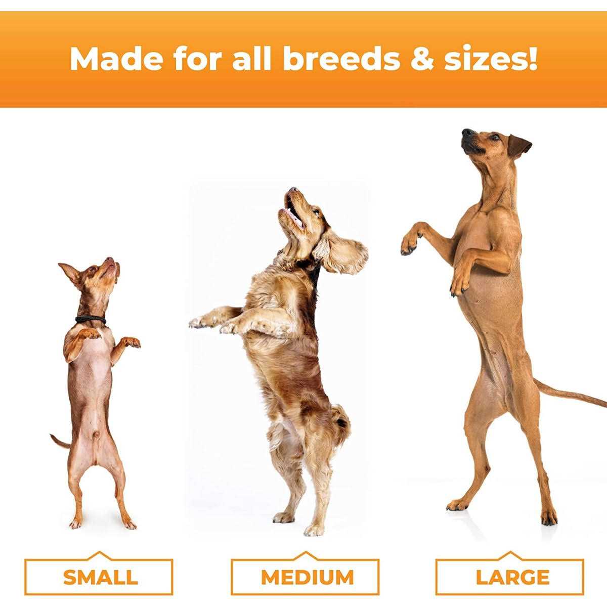 Joint Supplement for Dogs G577671