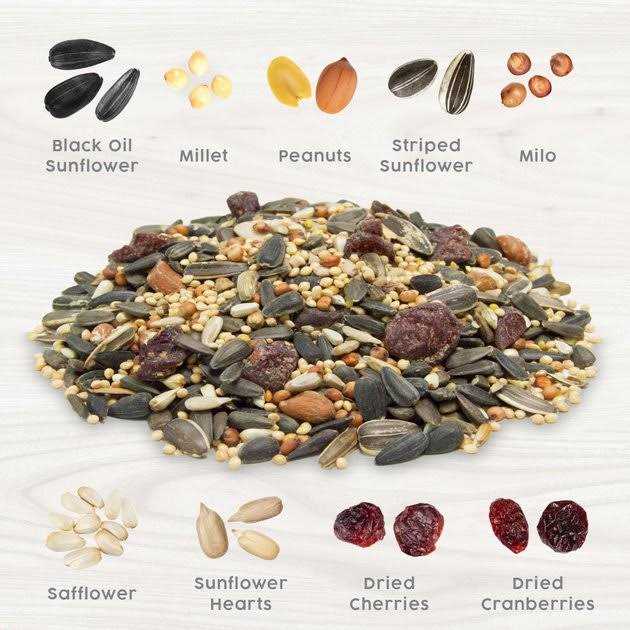 Red Berry & Nut Bird Food R246