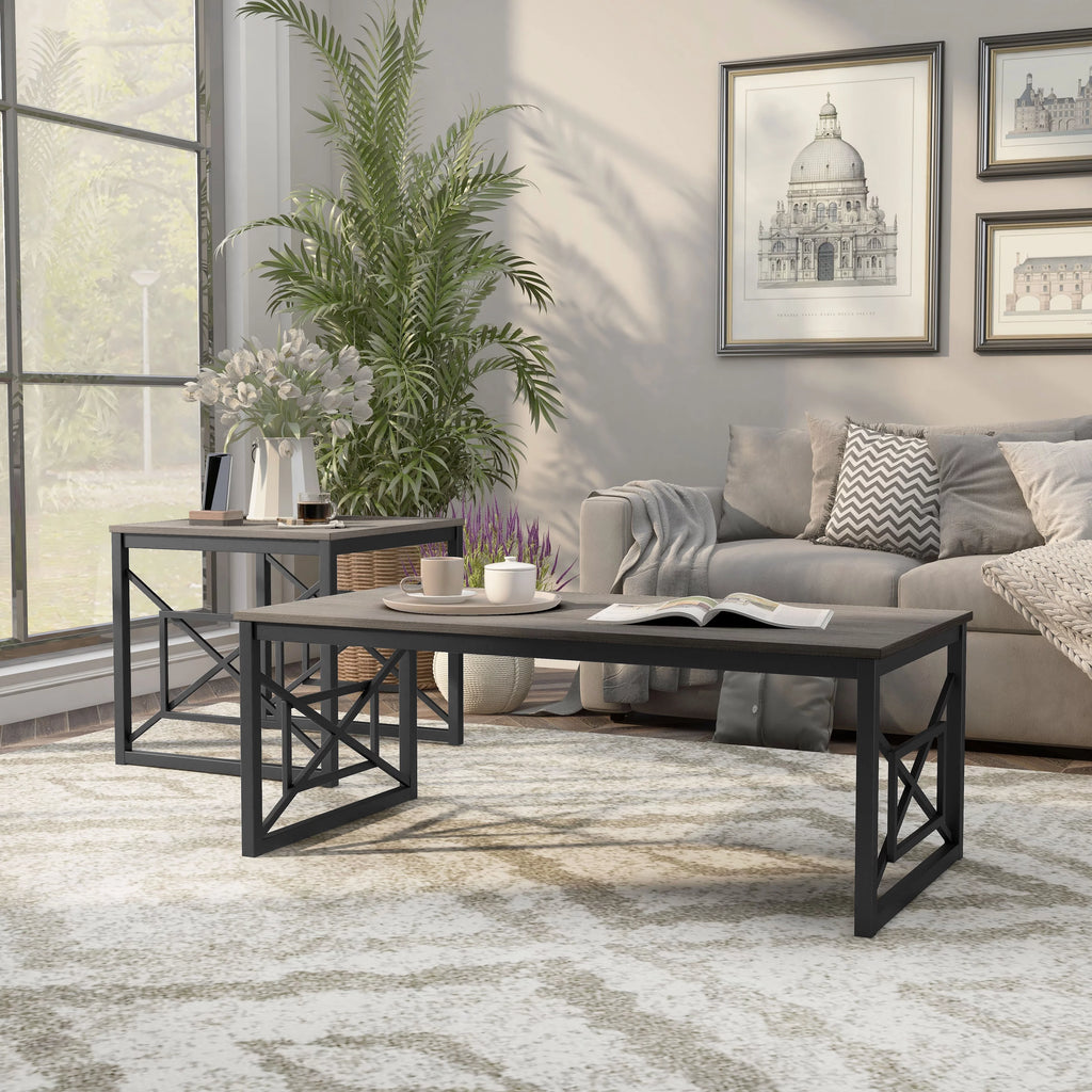 Steel 2-Piece Coffee Table Set N992