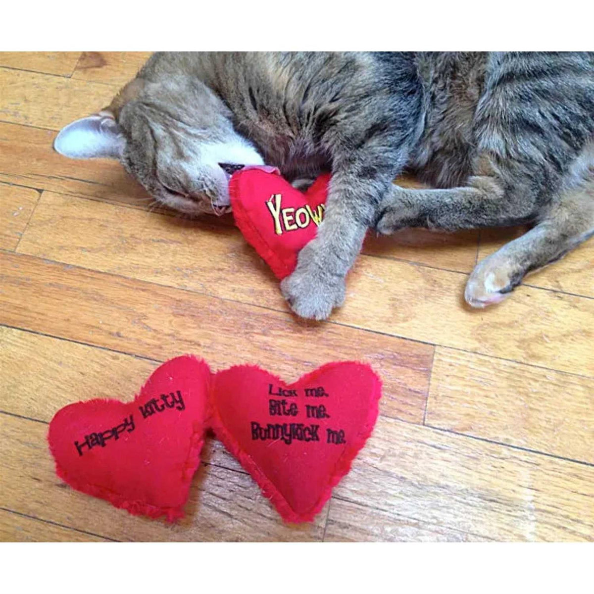 Catnip Toy Z446