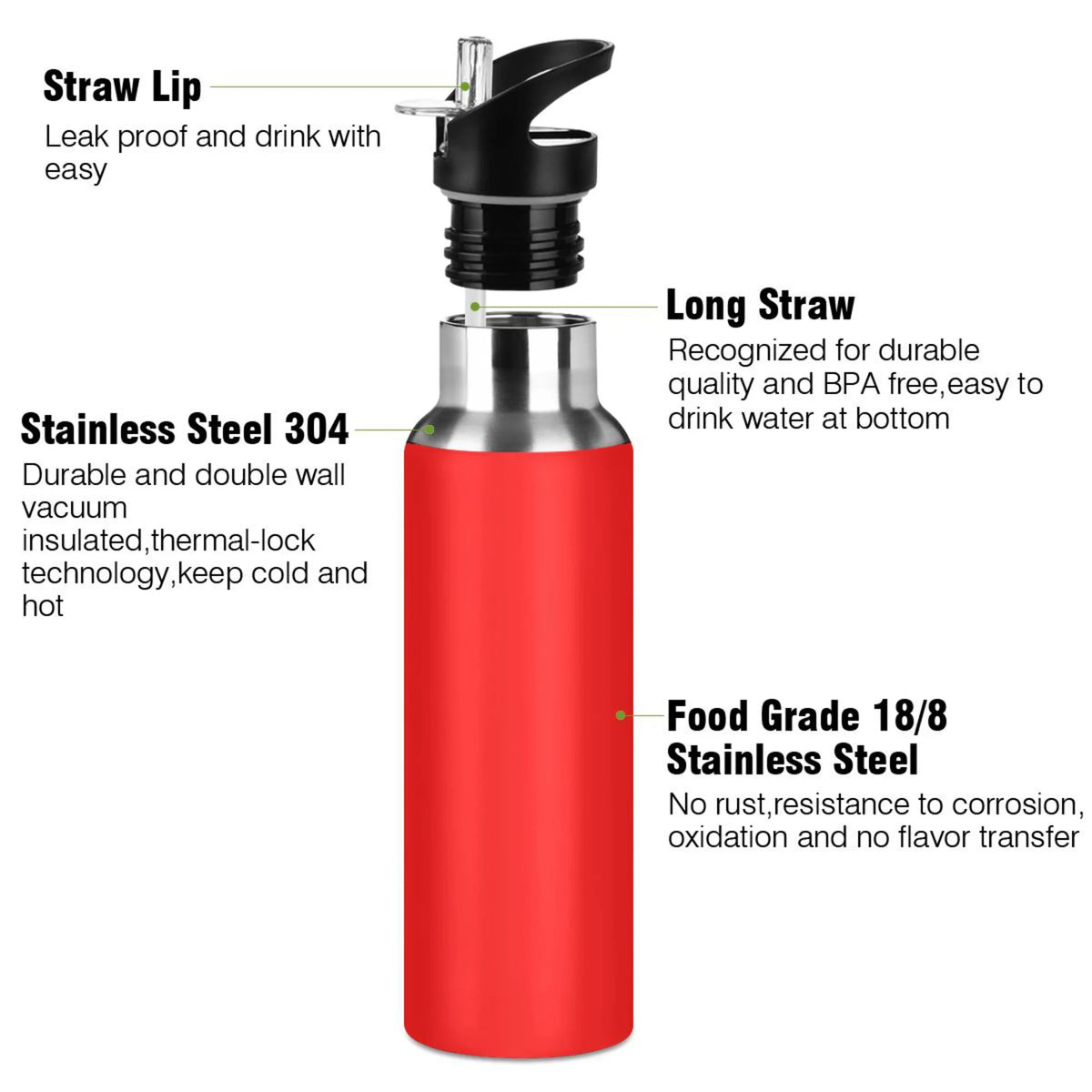 Red Stainless Steel Water Bottle with Straw Lid 20 OZ D610003