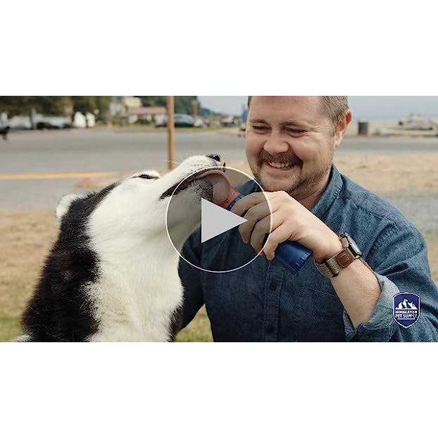 Dog Chew Q311