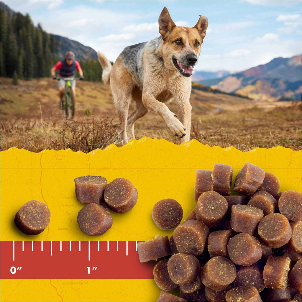 Dog Treats X176267