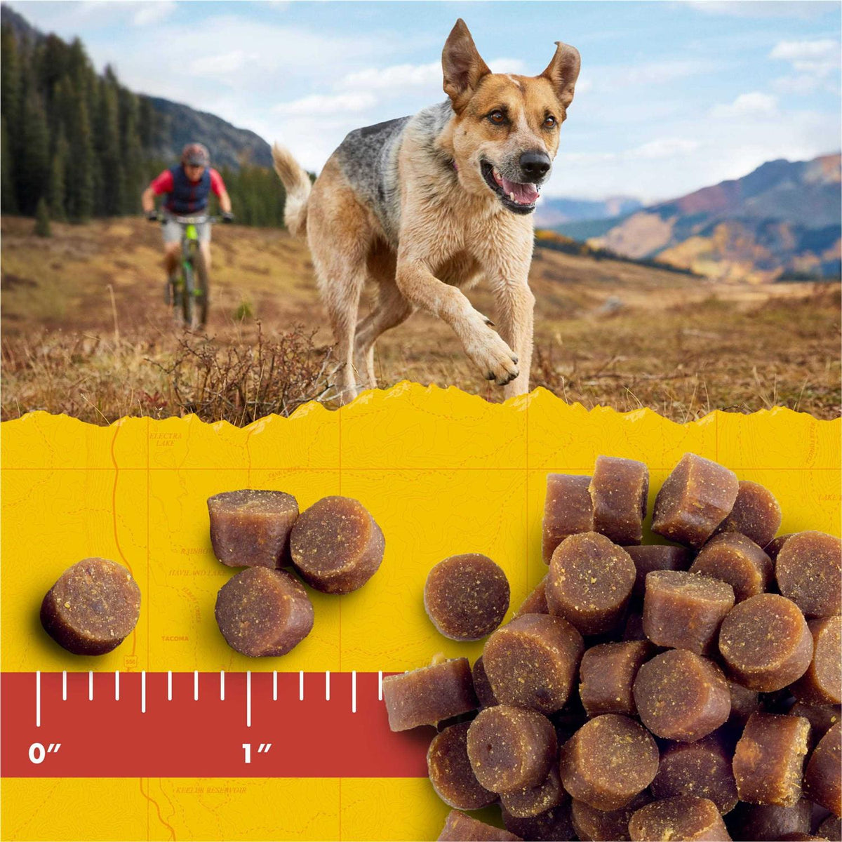 Dog Treats X176267