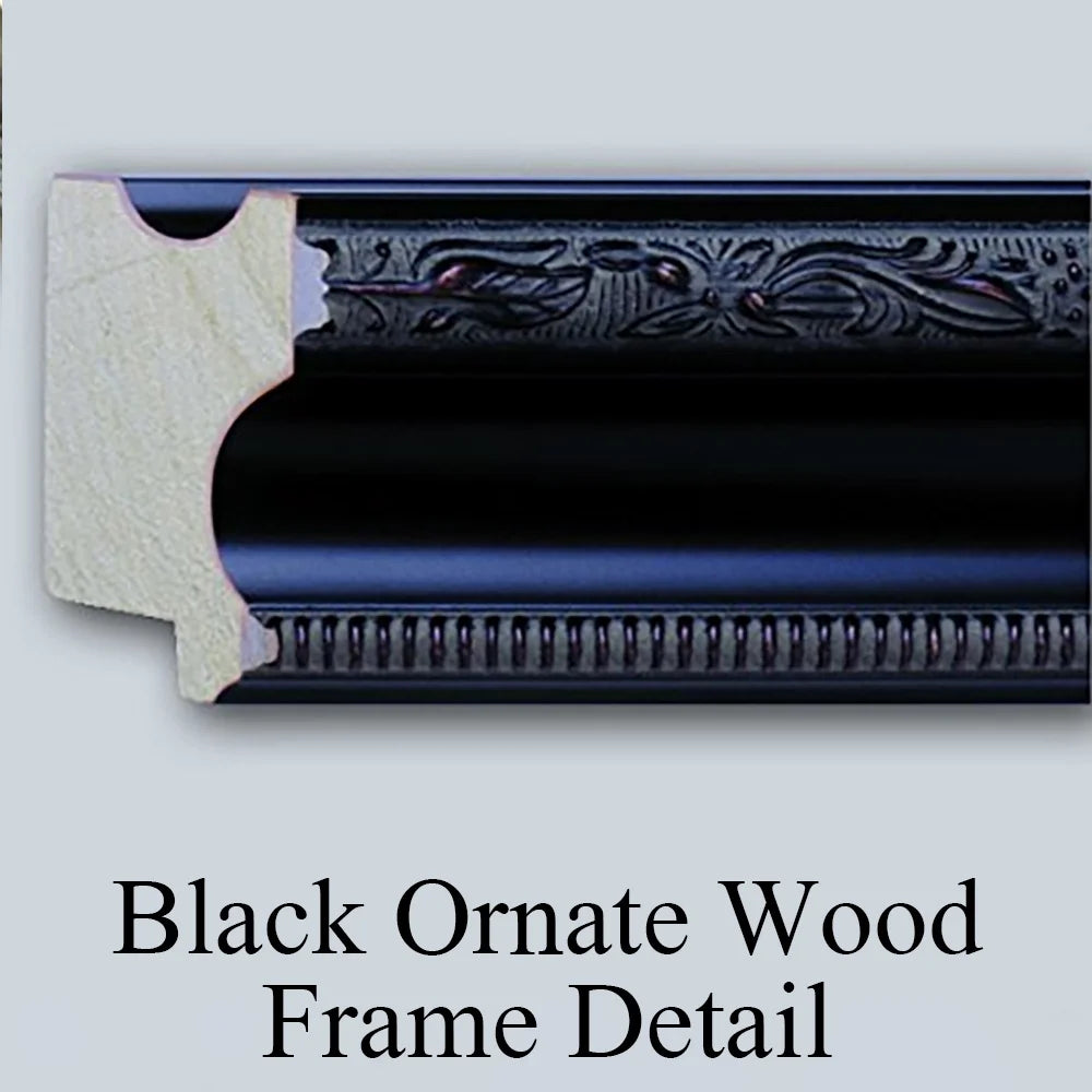 Black Ornate Framed Double Matted Museum Art Print 19x24 M2648