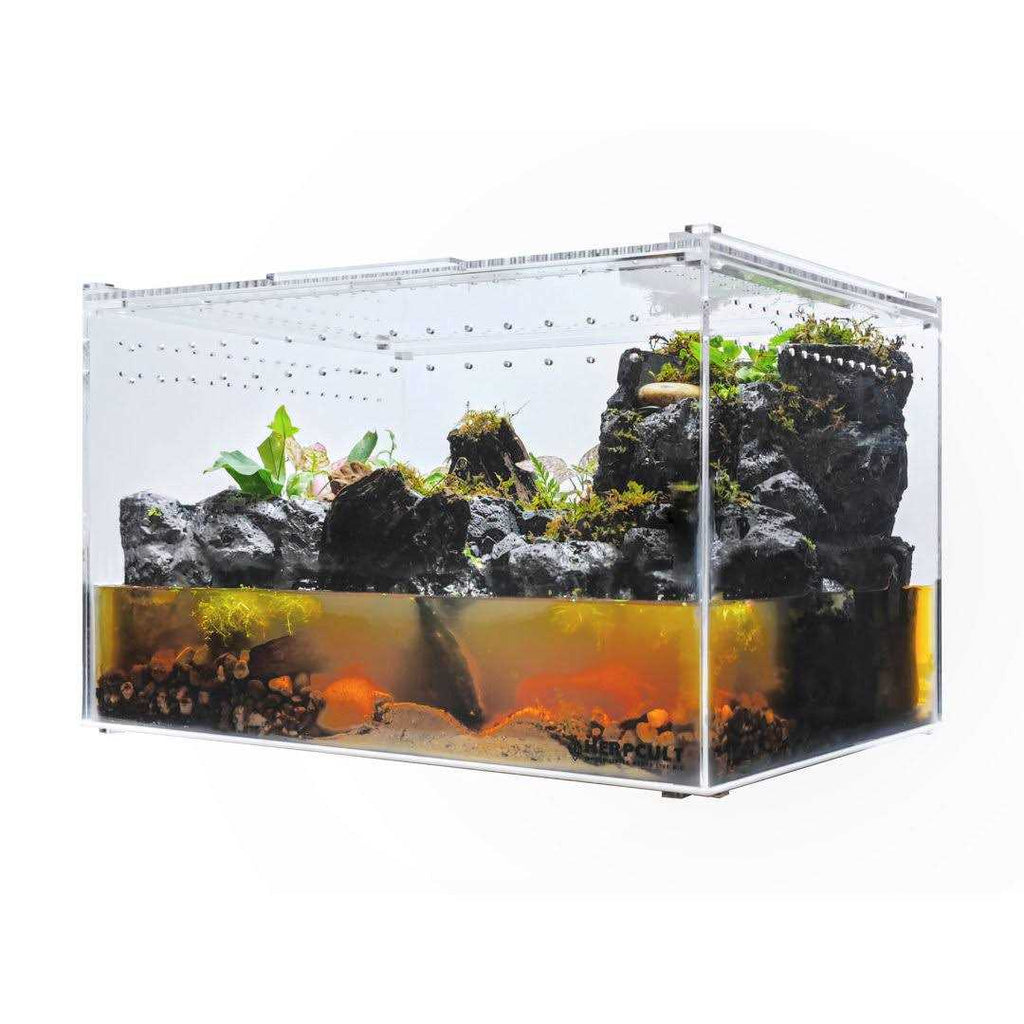 Acrylic Clear-Top Reptile Habitat S769