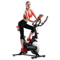 Indoor Exercise Bike F37198