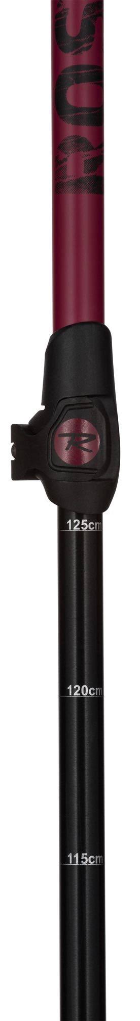 Freeride Telescopic Ski Poles F460