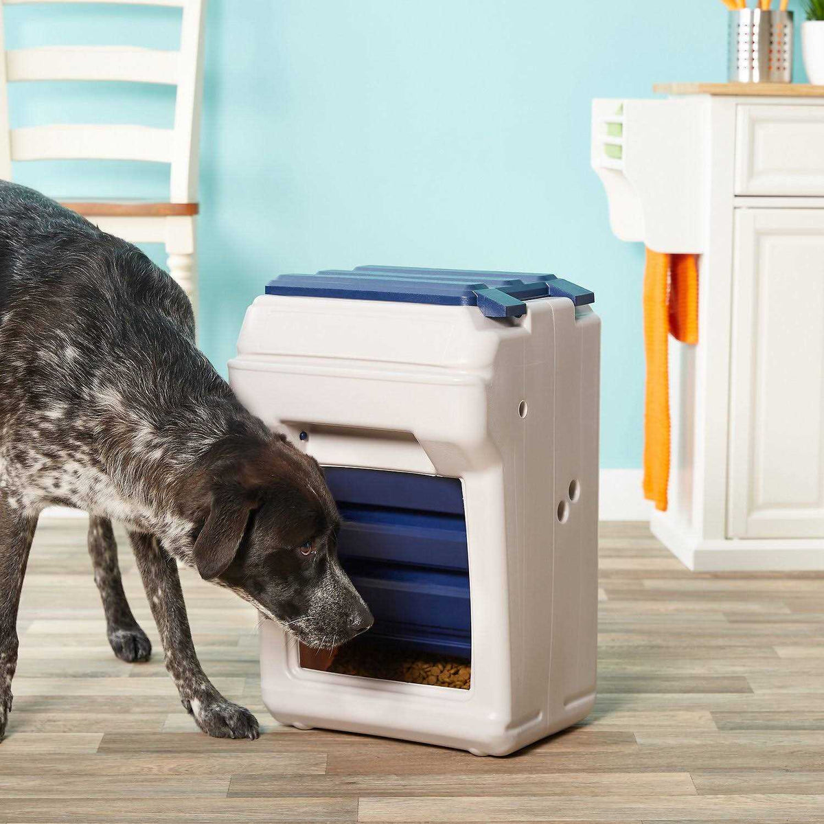 Pet Feeder V846