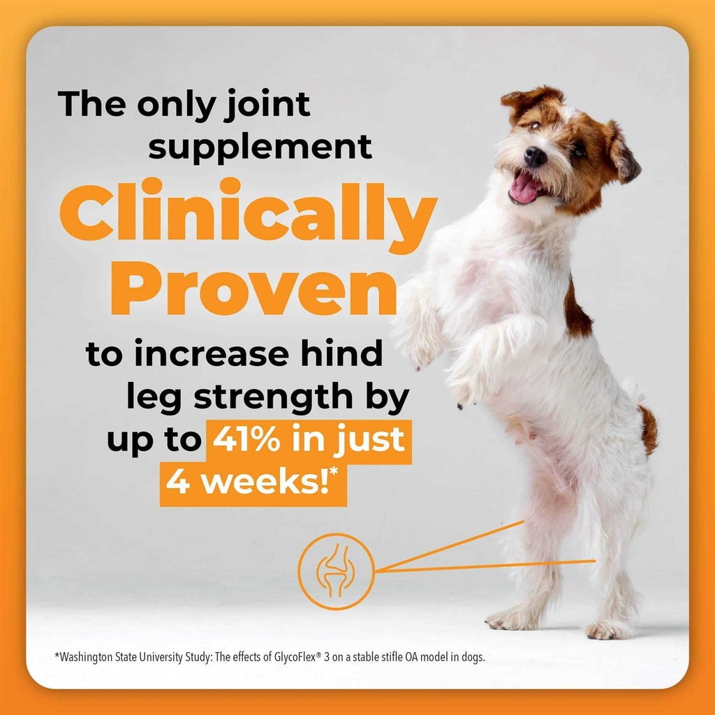Joint Supplement for Dogs G577671