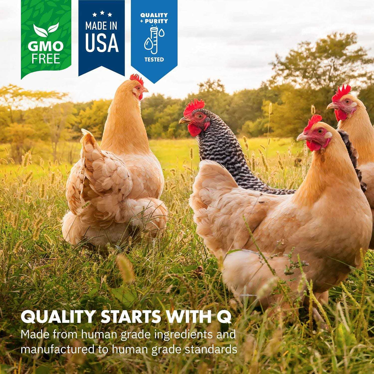 Probiotics for Chickens & Poultry X4478