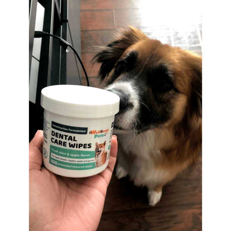Dental Care Wipes for Dogs A673