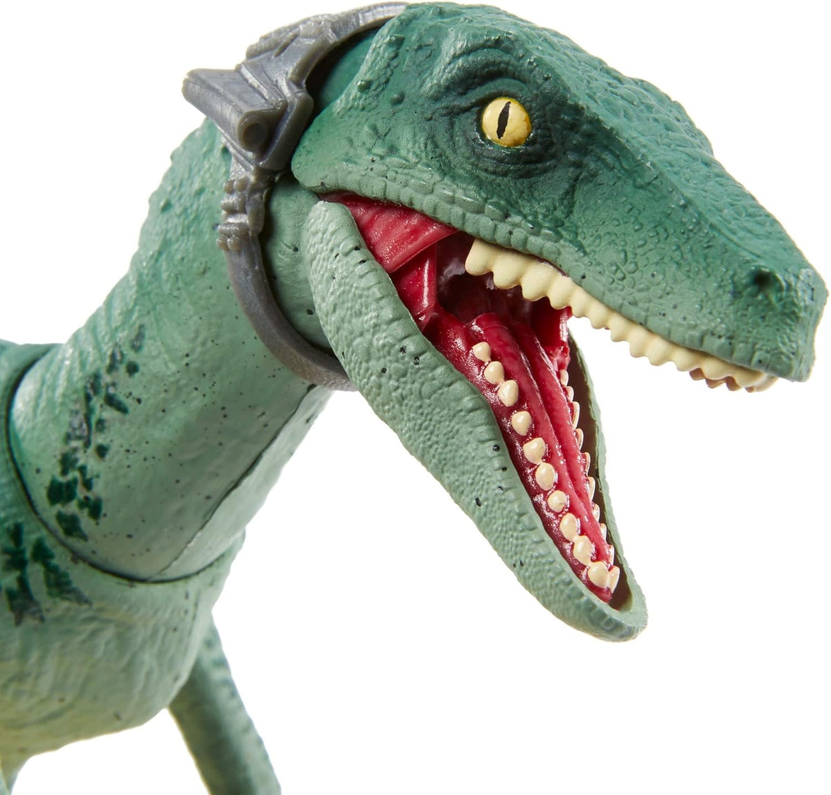 Velociraptor Delta 6-in Collectible Dinosaur Action Figure B642