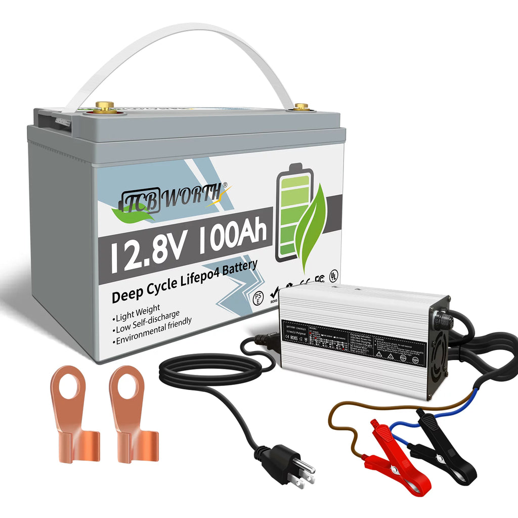 12V 100Ah LiFePO4 Lithium Battery with 100A BMS J261672