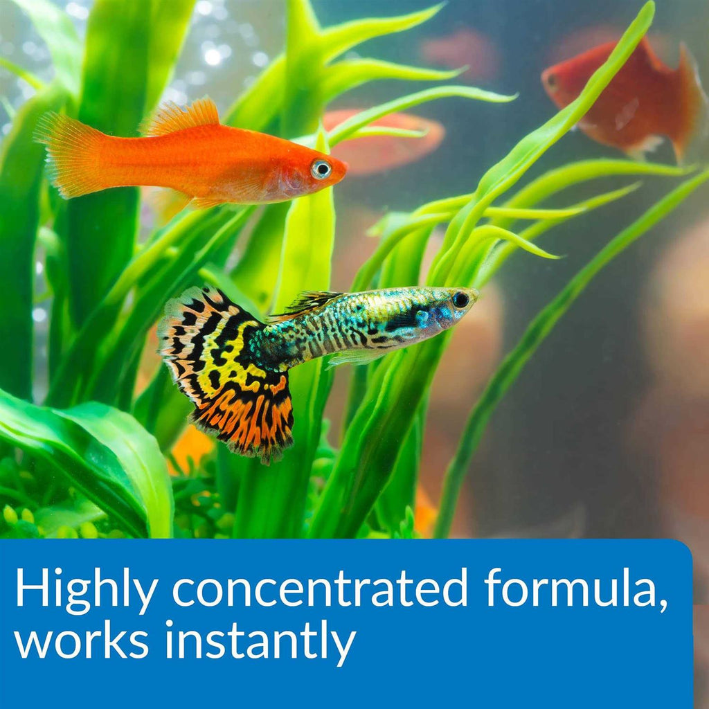 Aqua Essential Water Conditioner Y633069