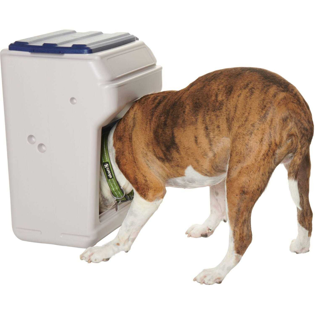 Pet Feeder V846