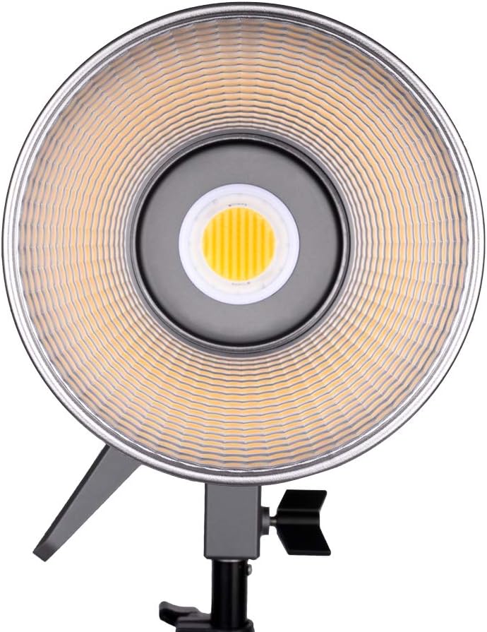 Bi-Color LED Video Light, 200W 2700-6500k B4207