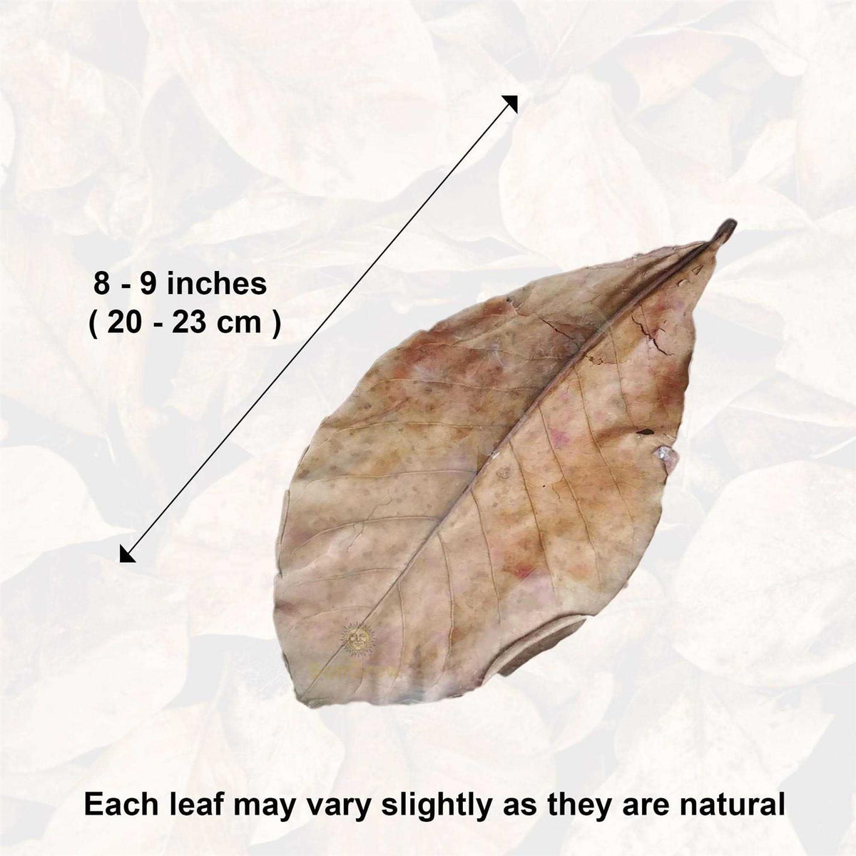 Indian Almond Leaves Water Conditioner for Freshwater Aquarium L21064