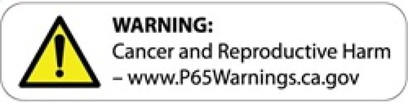 Cat-Back Exhaust System S95780
