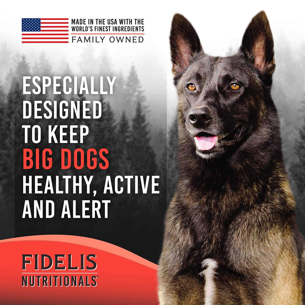 Freeze Dried Dog Food With Superfoods H7868