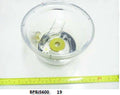 Juicing Bowl B38406