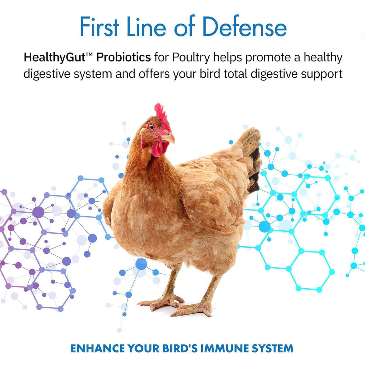 Probiotics for Chickens & Poultry X4478