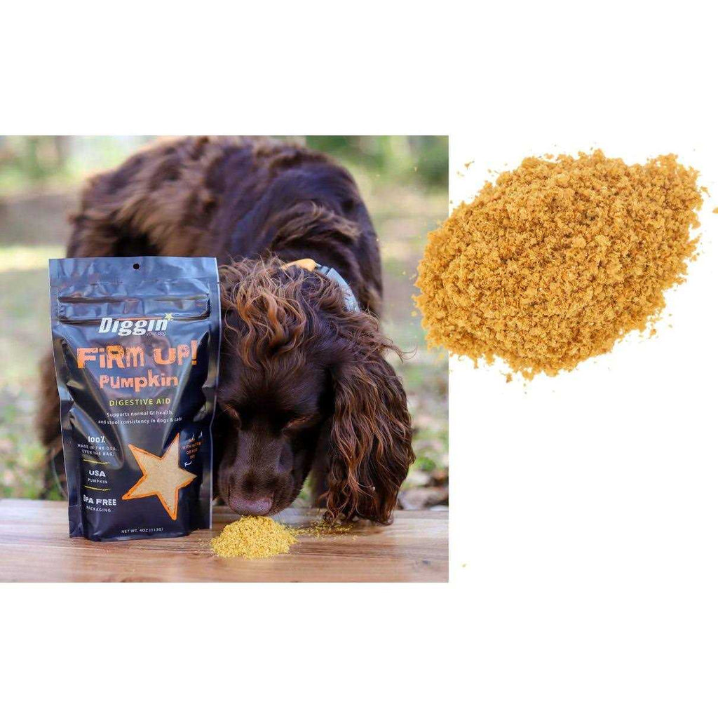 Pumpkin Supplement T9721