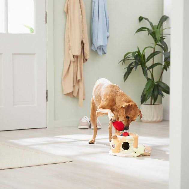 Plush Squeaky Dog Toy E69954
