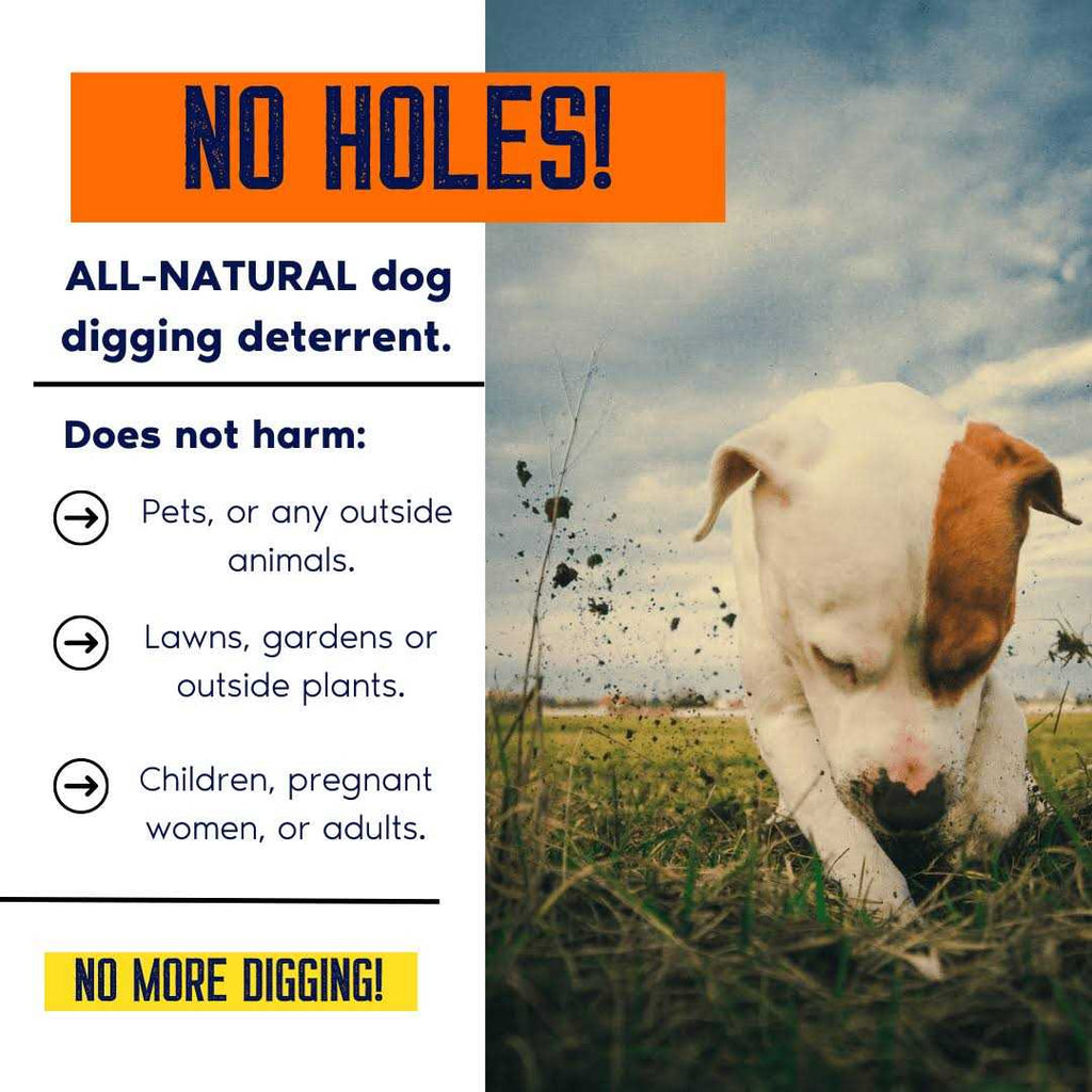 Digging Dog Prevention Concentrate V158440