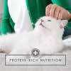 Chicken Feast in Gravy Cat Food Can A9448