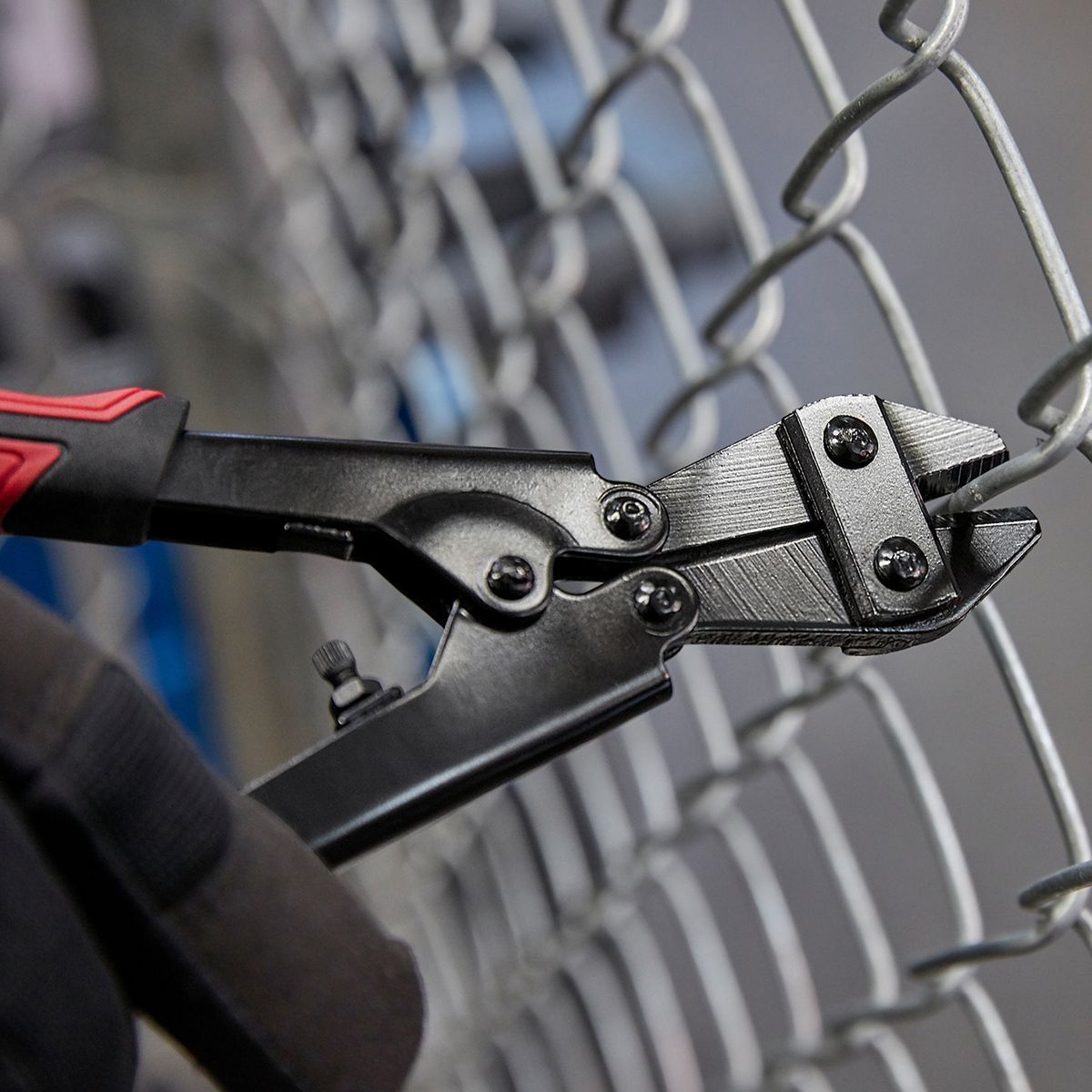8 In. Bolt and Wire Cutter B60280