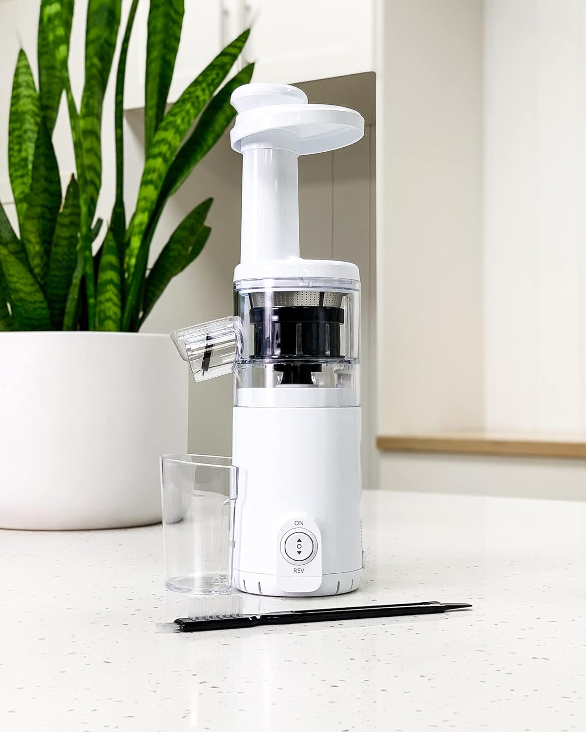 Portable Cordless Masticating Slow Juicer Z86077