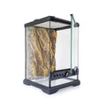 Glass Terrarium X523