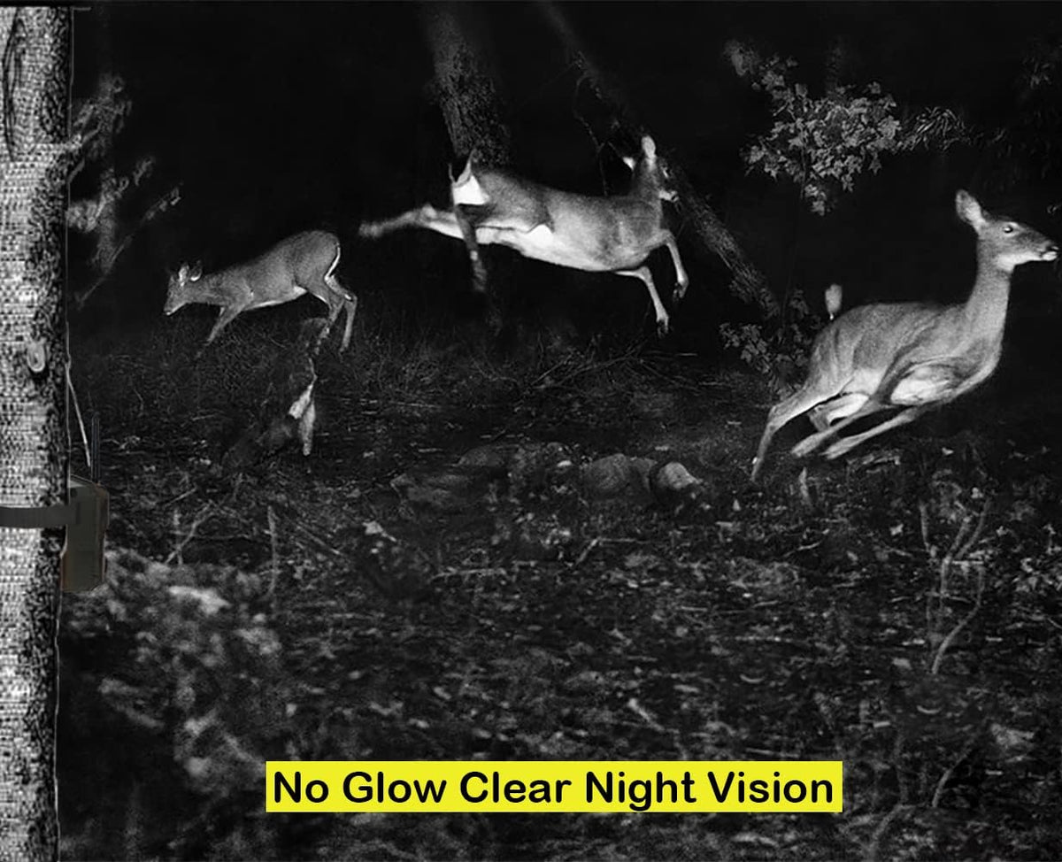 32MP 1296P WiFi Trail Camera with Night Vision Motion Activated Waterproof IP66 D202