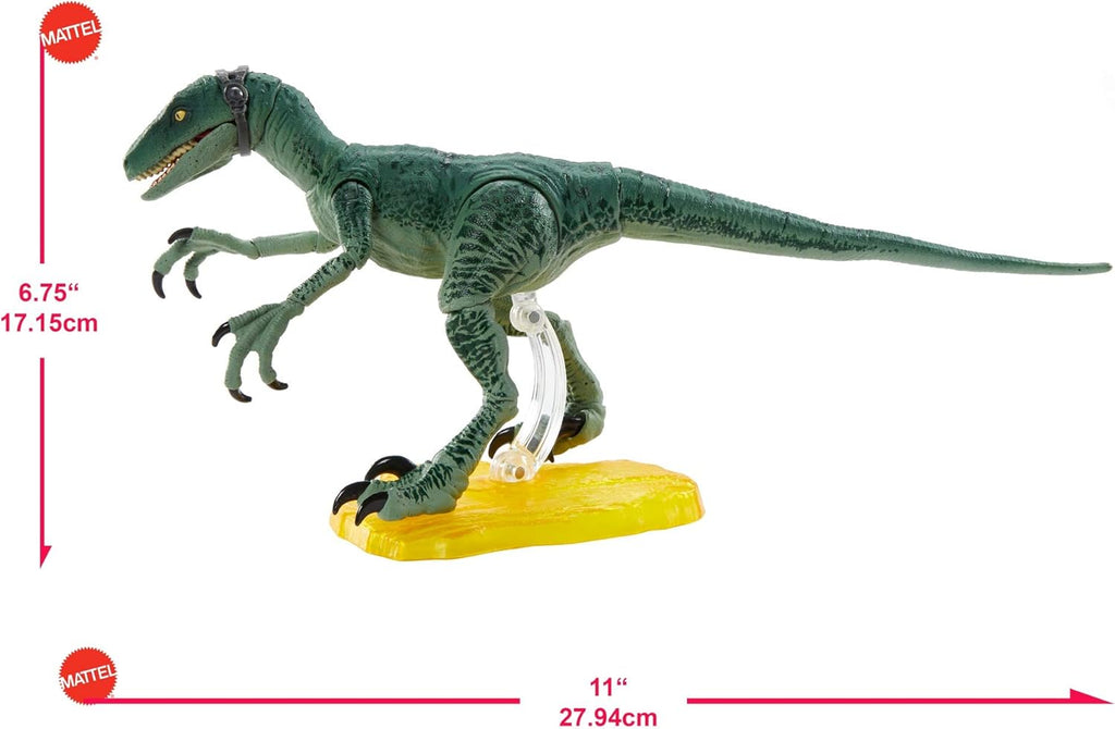 Velociraptor Delta 6-in Collectible Dinosaur Action Figure B642