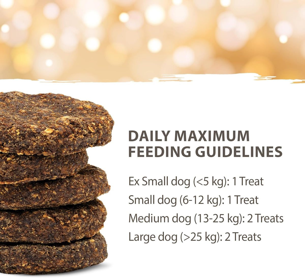 Protein Holiday Cookie Gingerbread & Lamb 270 GRAMS X657683