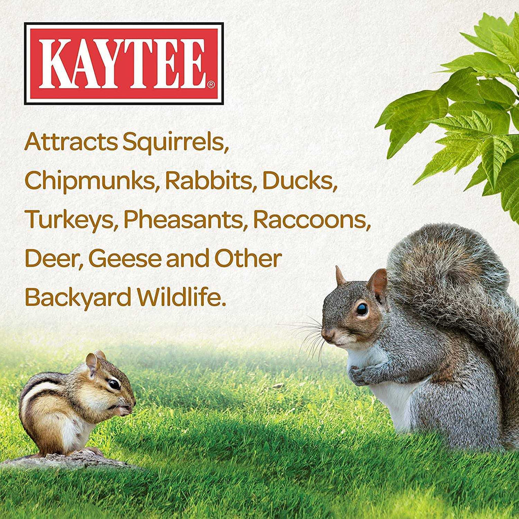 Squirrel Critter Food M941875