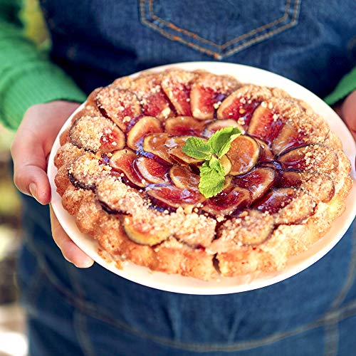 Brown Turkey Fig Tree Live Plant, 3 Gallon H9601