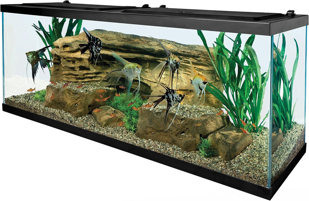 55 Gallon Aquarium Kit with Fish Tank, Fish Net, Fish Food, Filter, Heater and Water Conditioners H2945