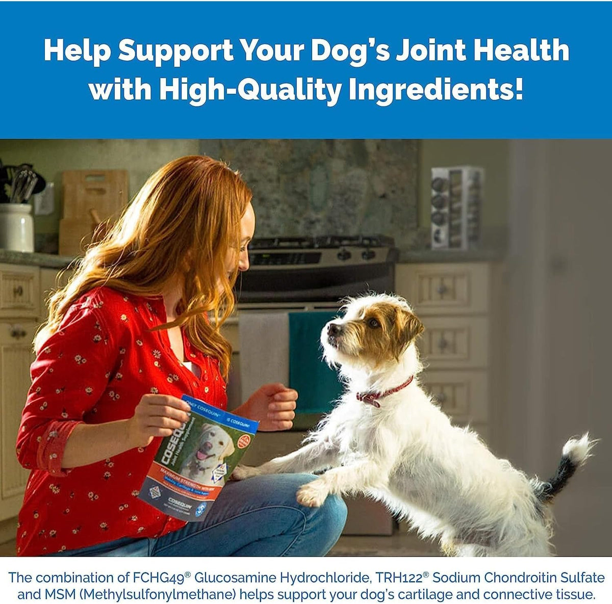 180 Chewable Tablets Joint Health Supplement for Dogs Y958
