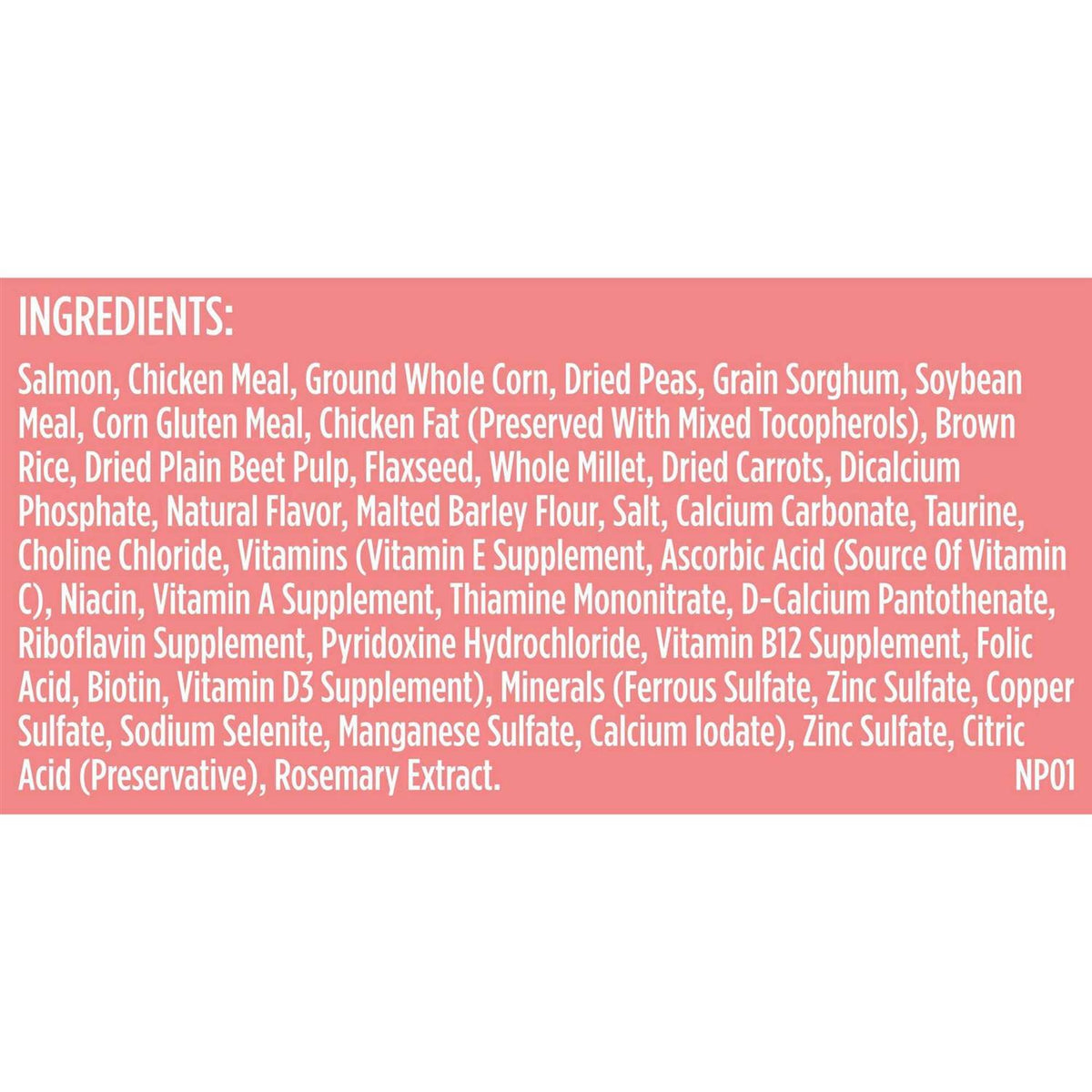 Salmon Veggies & Brown Recipe Dry Dog Food Y45385