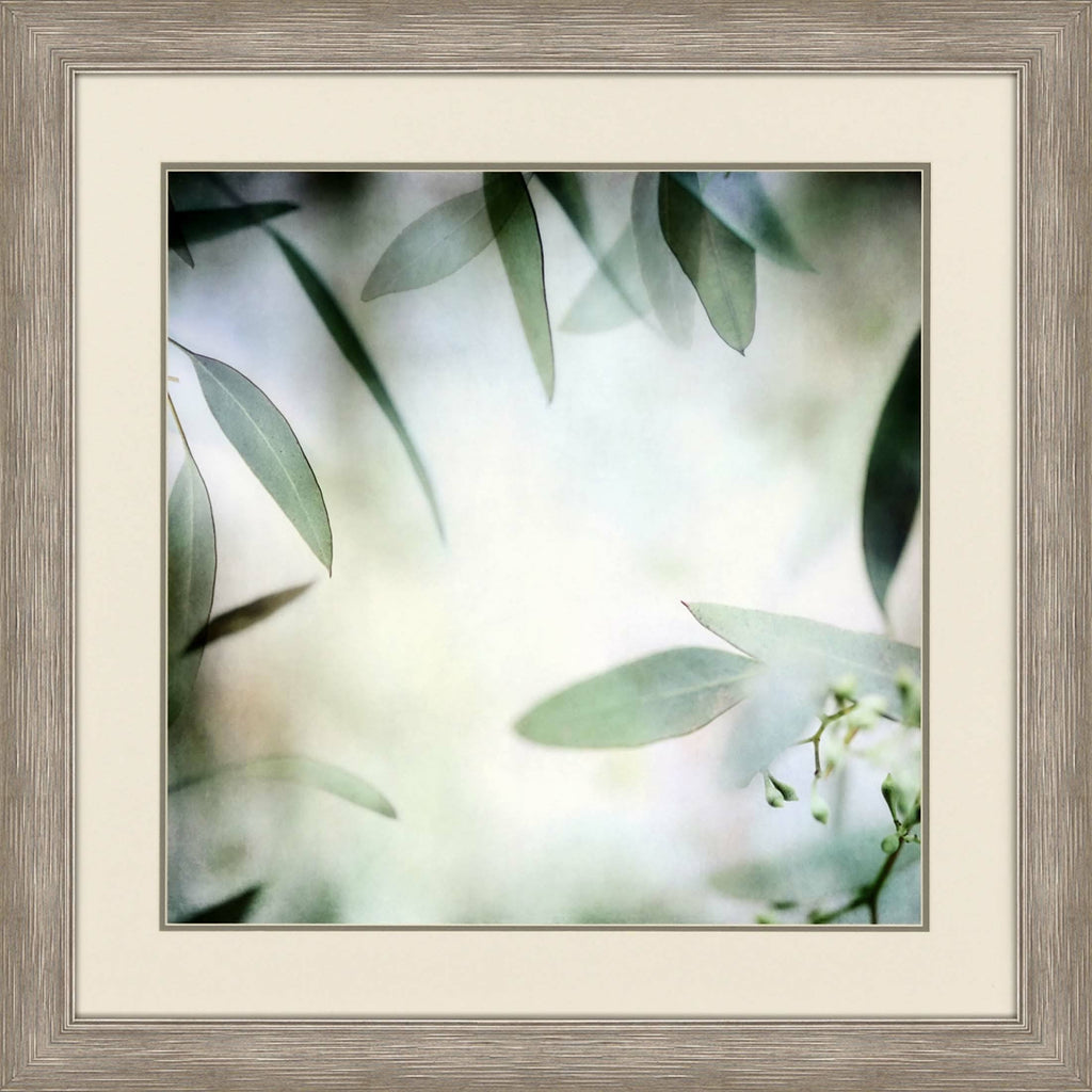 Soft Eucalyptus I T895