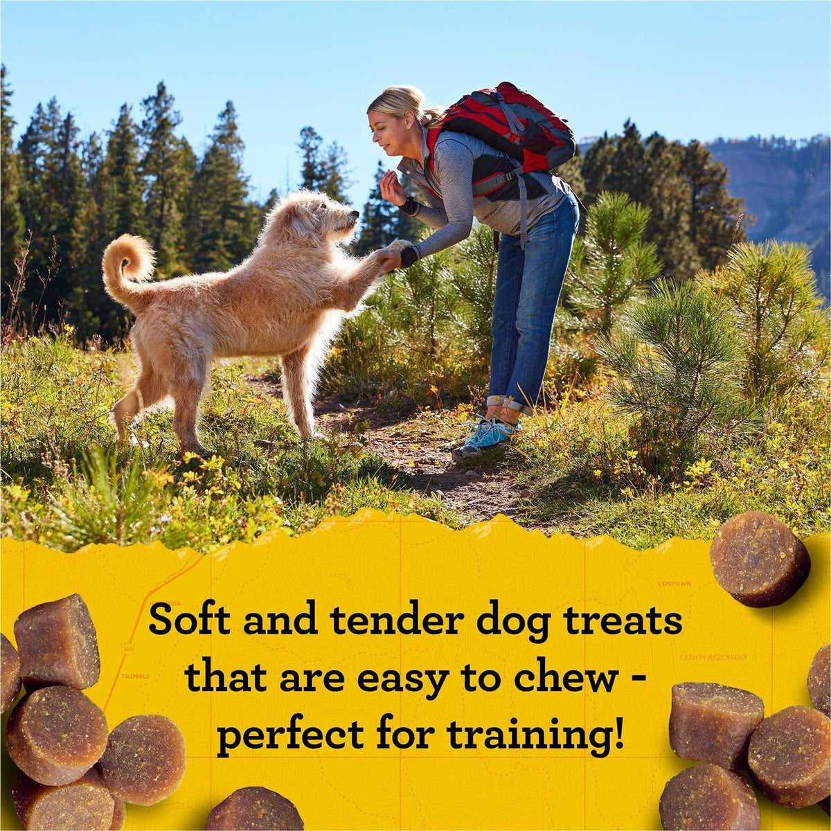 Dog Treats X176267