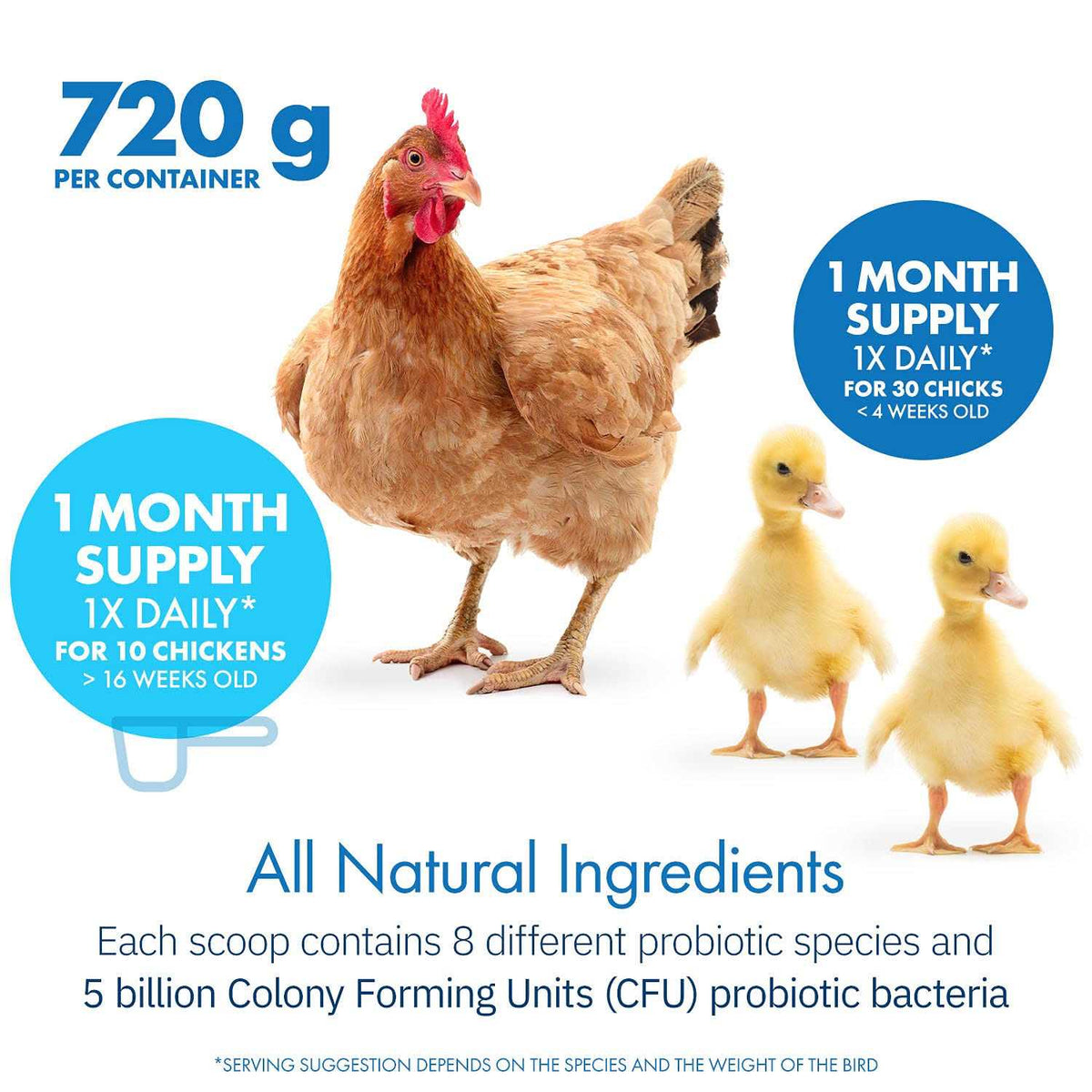 Probiotics for Chickens & Poultry X4478