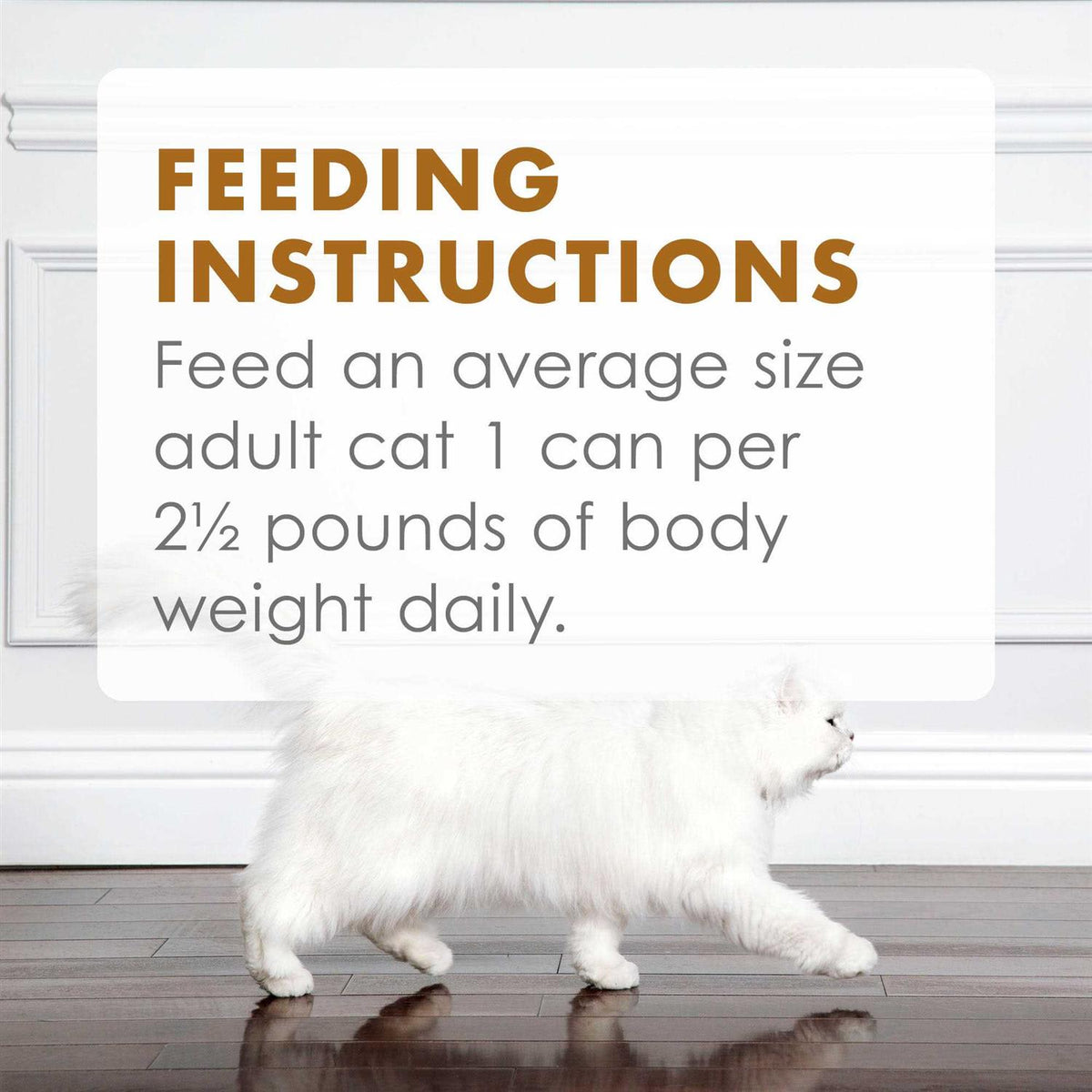 Chicken Feast in Gravy Cat Food Can A9448