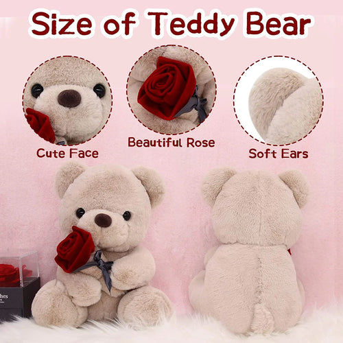 10 Inch Teddy Bear Plush Stuffed Animal with Rose U635
