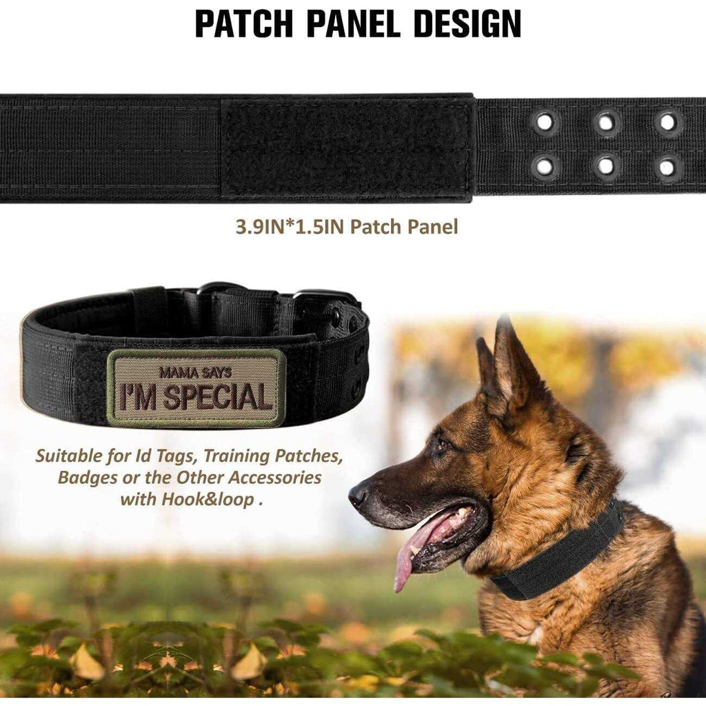 Nylon Adjustable Heavy Duty Tactical Dog Collar H143